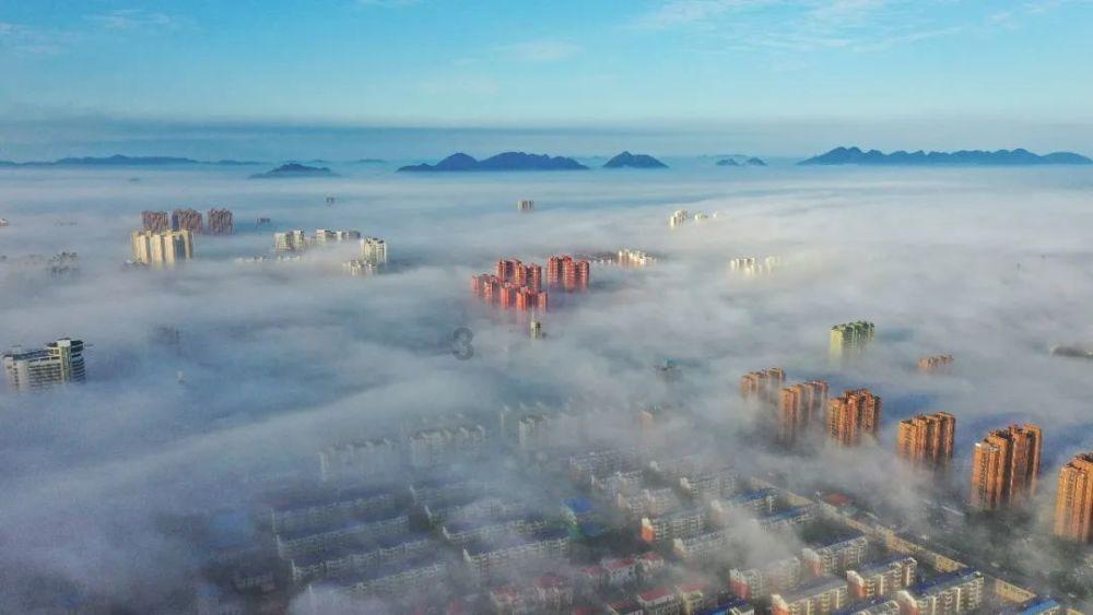 管理的本质是协调还是决策？游戏画面