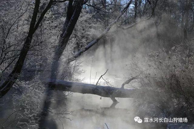 文明：太空