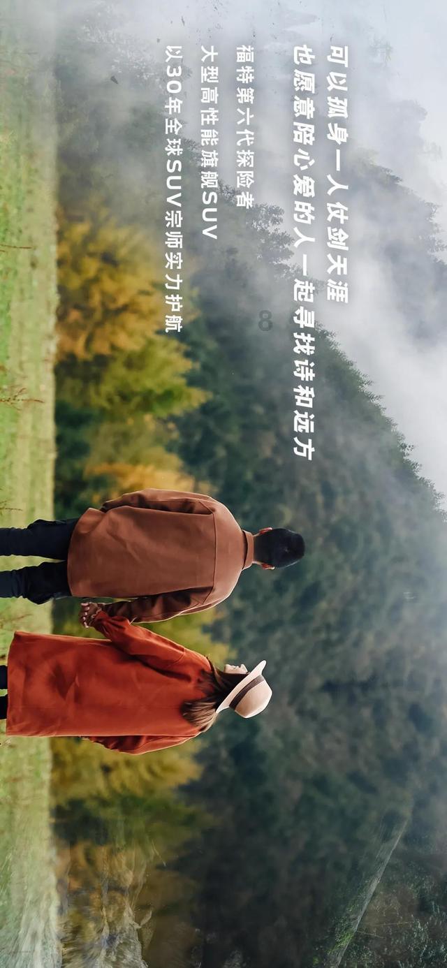 飞天小猪仔