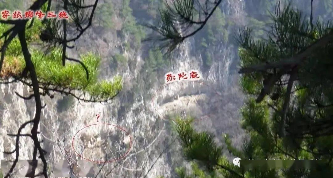 为什么常常说老虎的周边不会出现大型的狼群？