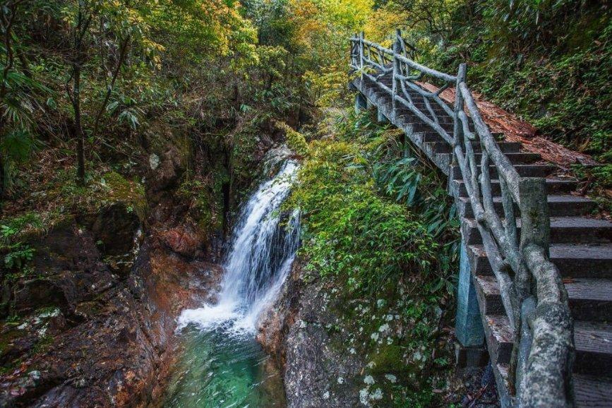 陕西眉县:野生羚牛频现红河谷森林公园