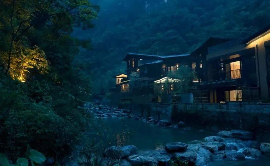 实地探访!原来“企鹅岛”里面长这样!