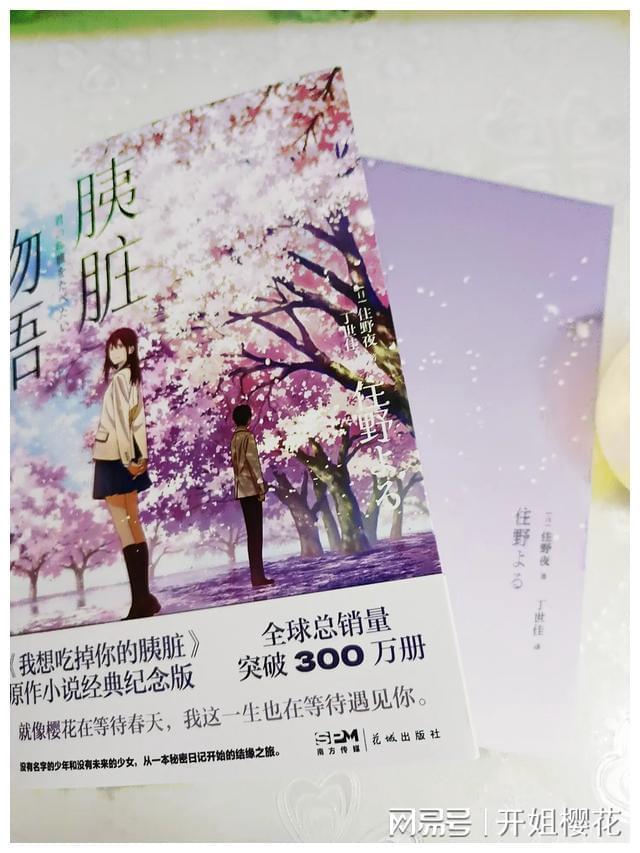 引球进框选关版