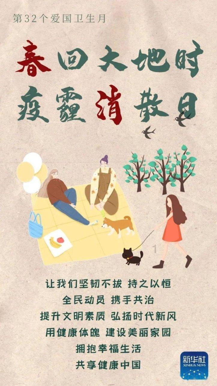 救援大嘴鸟