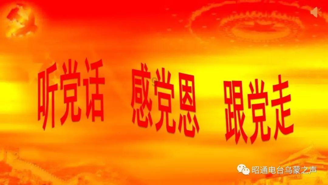 小猫钓鱼开船版最新版下载