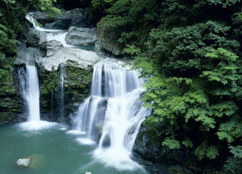 中国旅游研究院院长戴斌带队调研石景山区文化和旅游产业发展情况