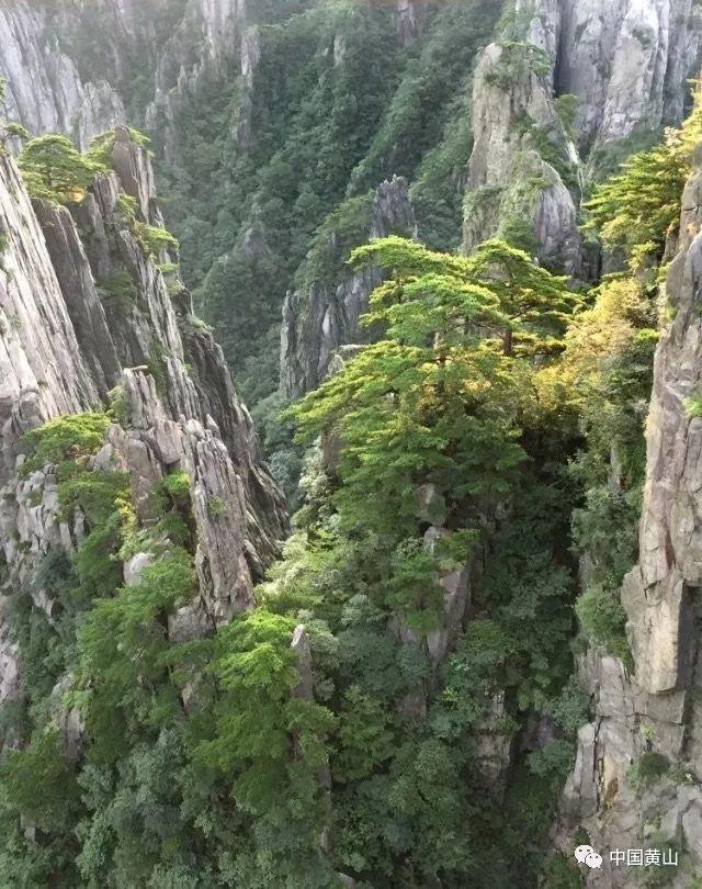 铁岭去年外贸出口货值增速位居全省第一