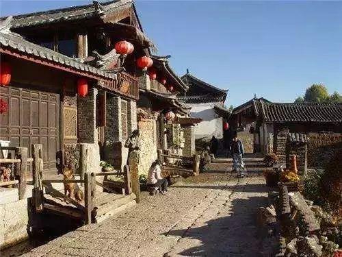 呆萌动物园