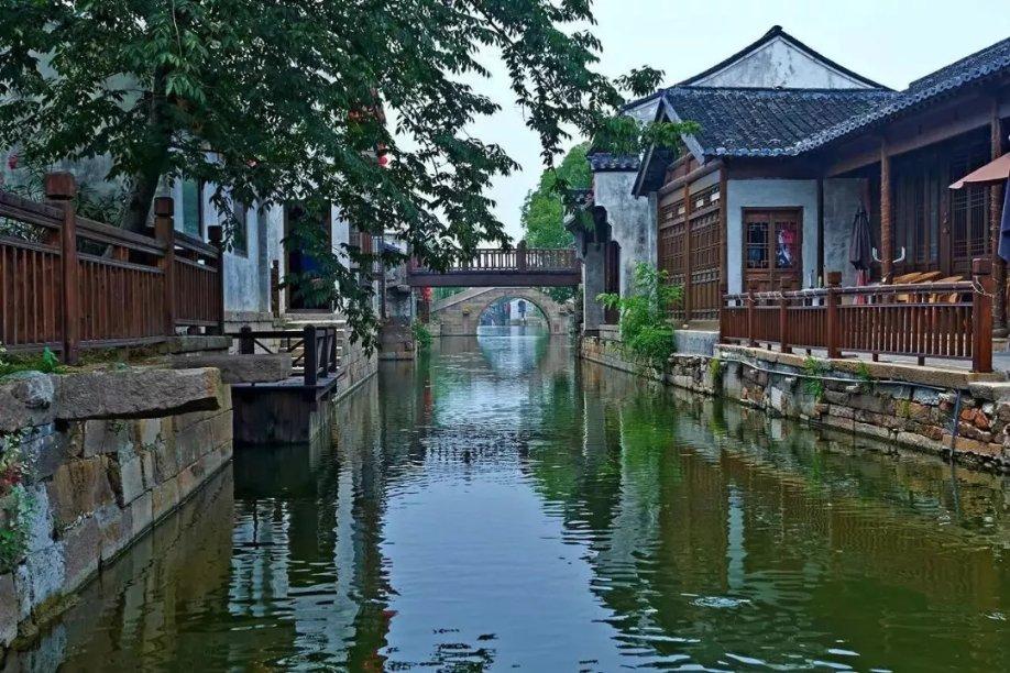 雨后盛放