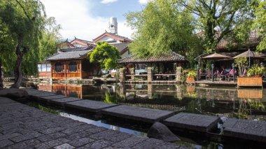 动保协会回应昆明动物园“猴猫共处”事件：猫被救出后会带回北京猫屋