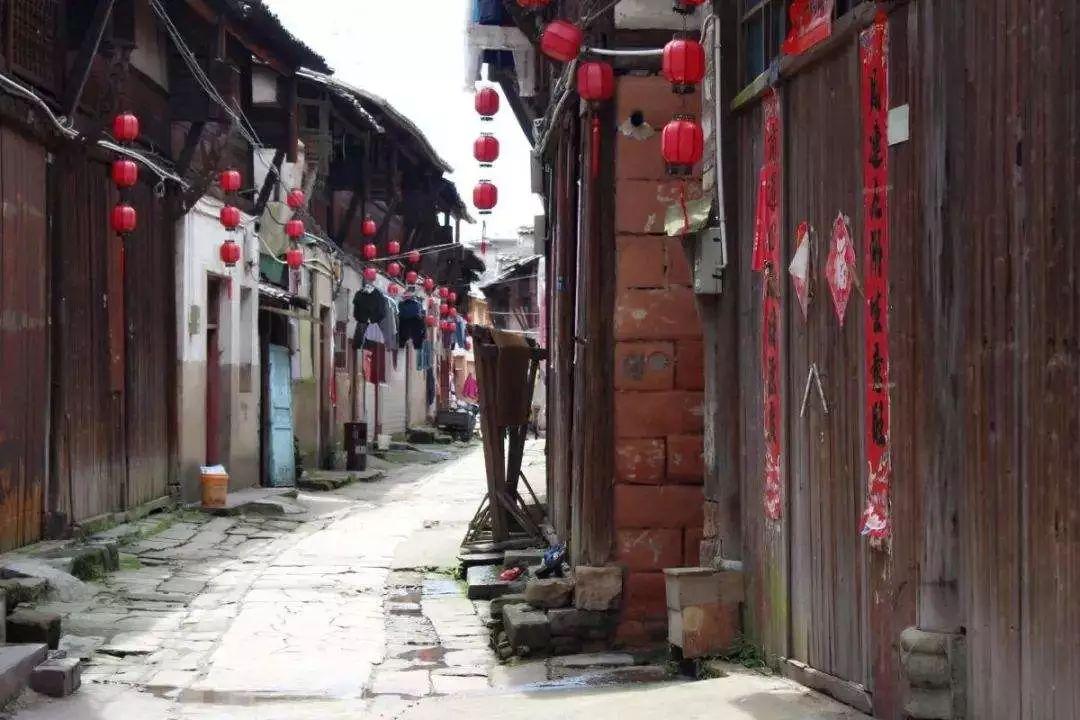 虫虫助手下载