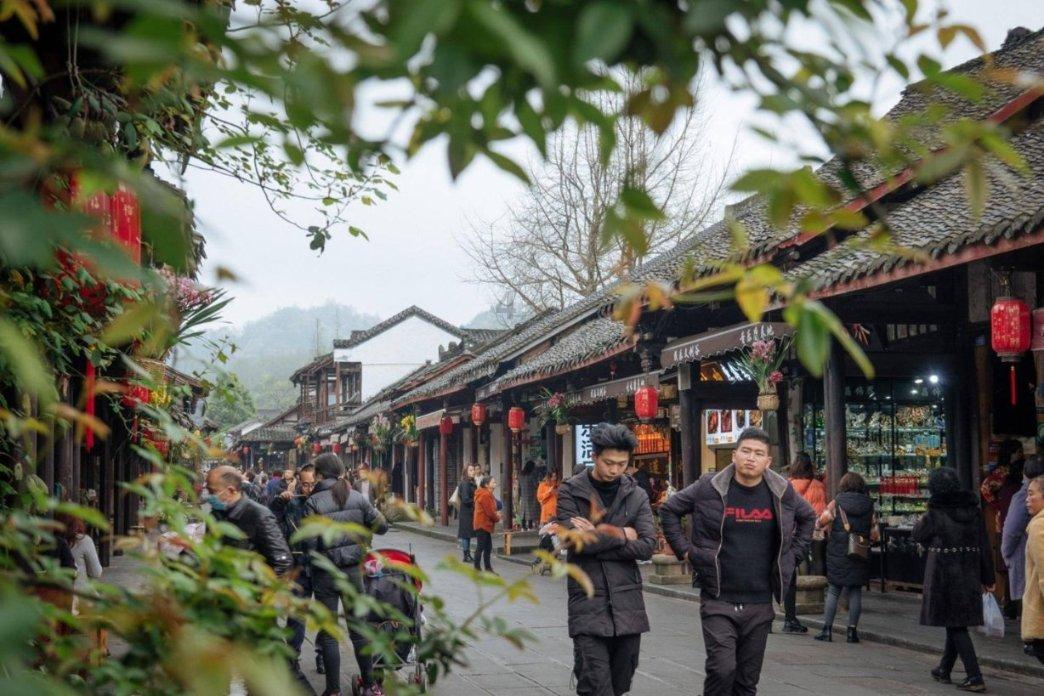 解救金刚鹦鹉